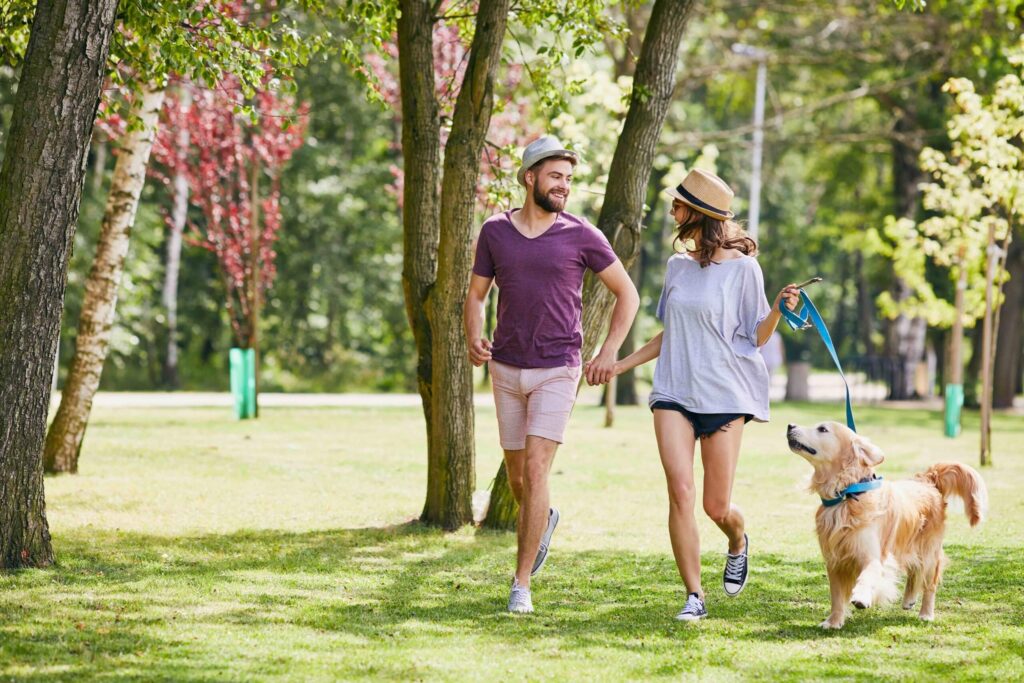 Best Pet-Friendly Communities In Dubai