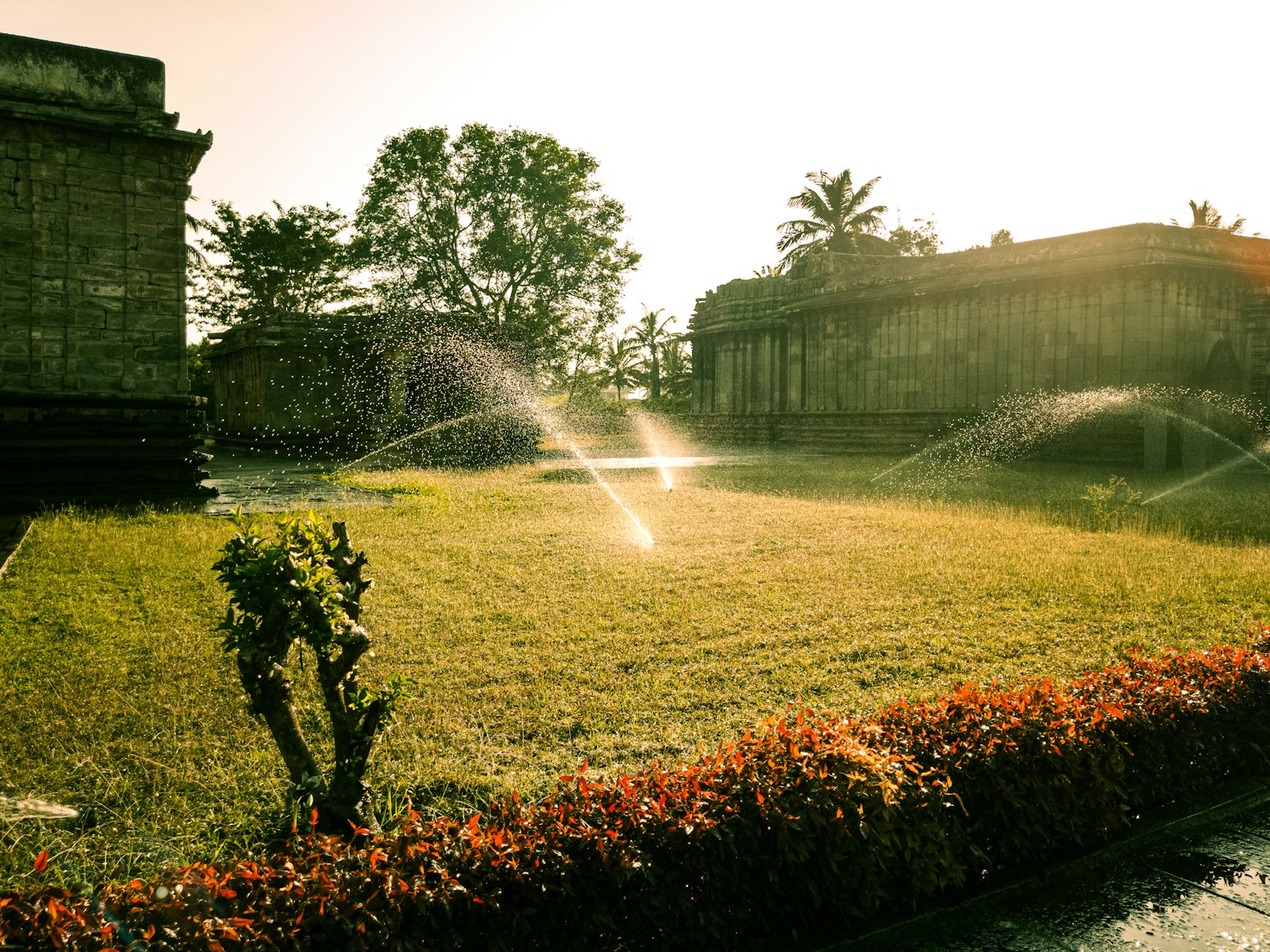 Community and OAM ESG | Land Sterling Irrigation sprinklers watering community landscaping